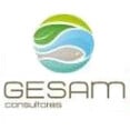 GESAM CONSULTORES